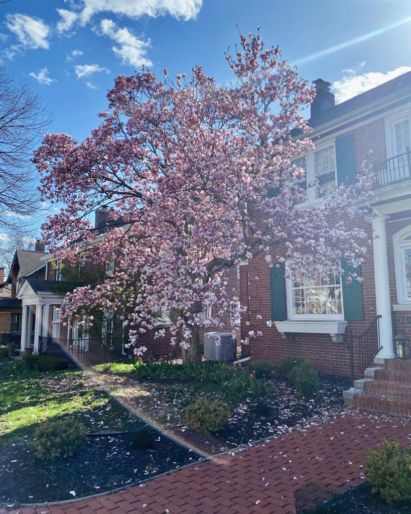 Washington Highlands Spring