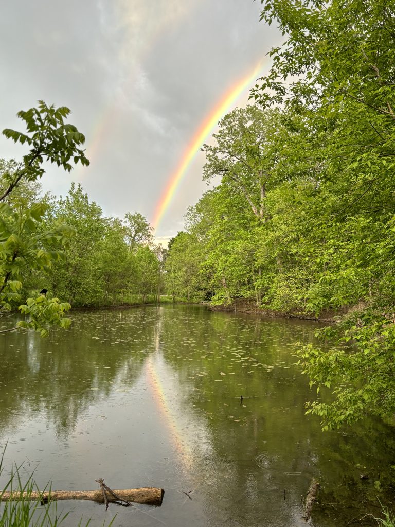 After the Rain at Jacobus Pond
