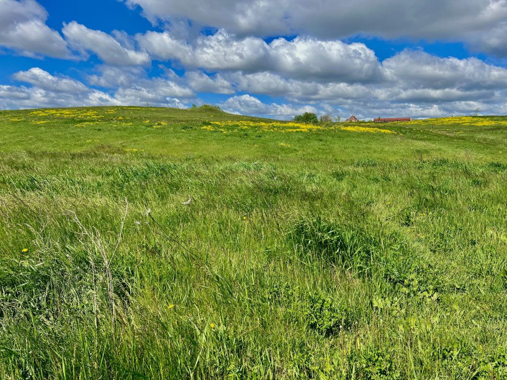 Tosa County Grounds