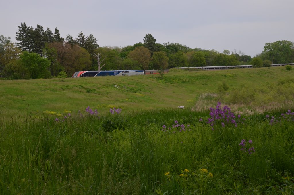 Trains